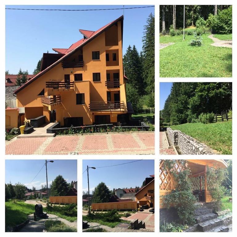 Pensiunea Mihaela Poiana Brasov Extérieur photo
