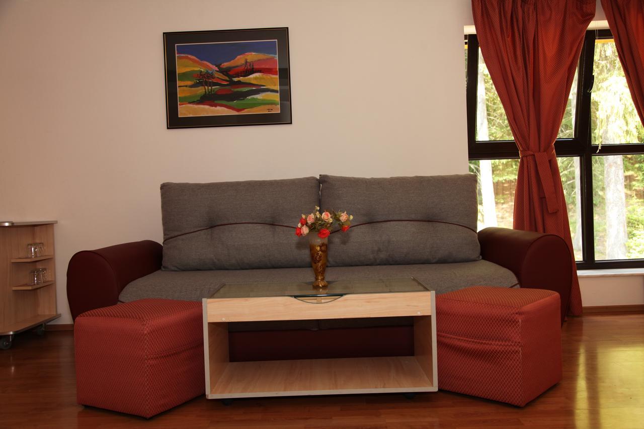 Pensiunea Mihaela Poiana Brasov Extérieur photo