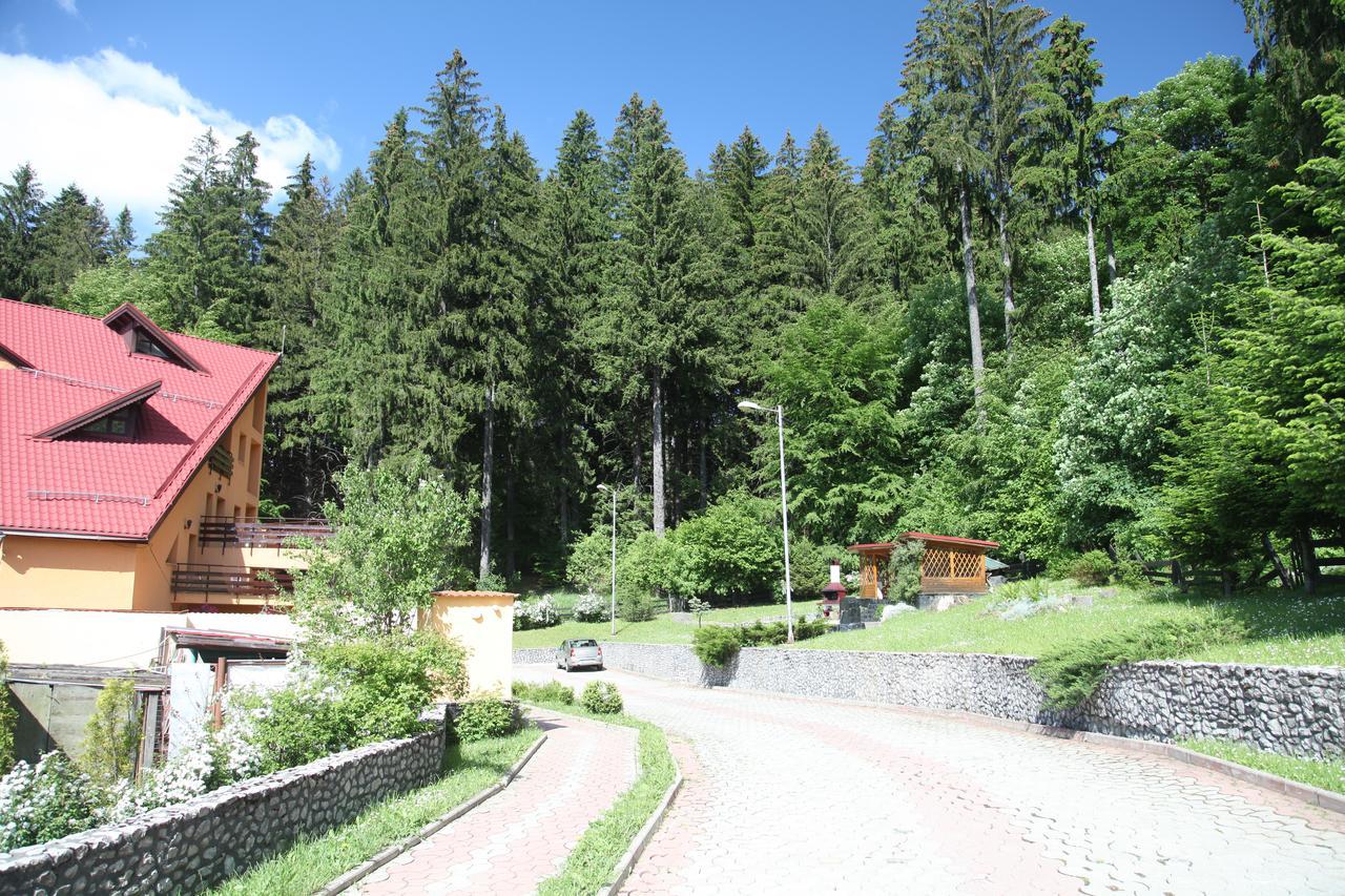 Pensiunea Mihaela Poiana Brasov Extérieur photo